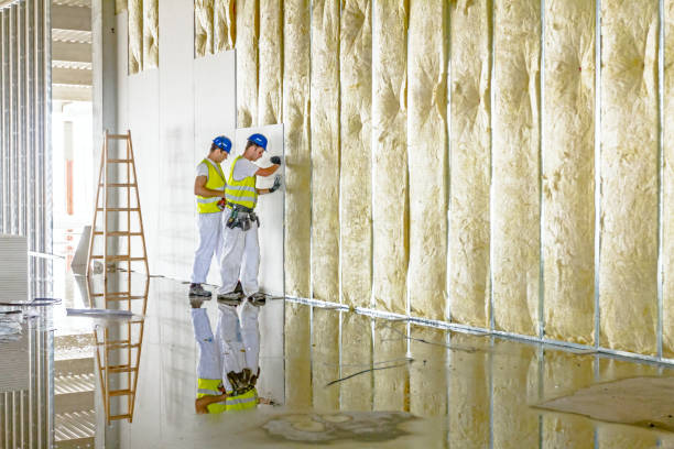 Best Cellulose Insulation in Gastonville, PA